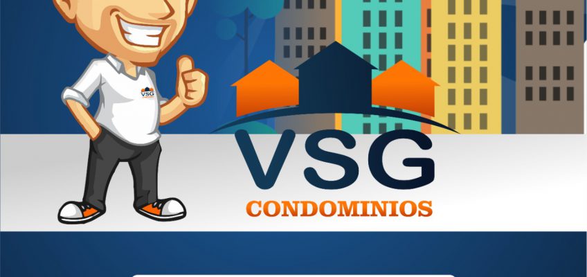 POR QUE CONTRATAR A VSG?