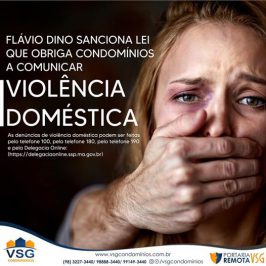 LEI SOBRE VIOLÊNCIA DOMÉSTICA NOS CONDOMÍNIOS, É SANCIONADA PELO GOVERNADOR DO MARANHÃO